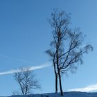  blauer Himmel