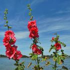 blauer HIMMEL