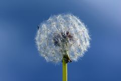 Blauer Himmel.