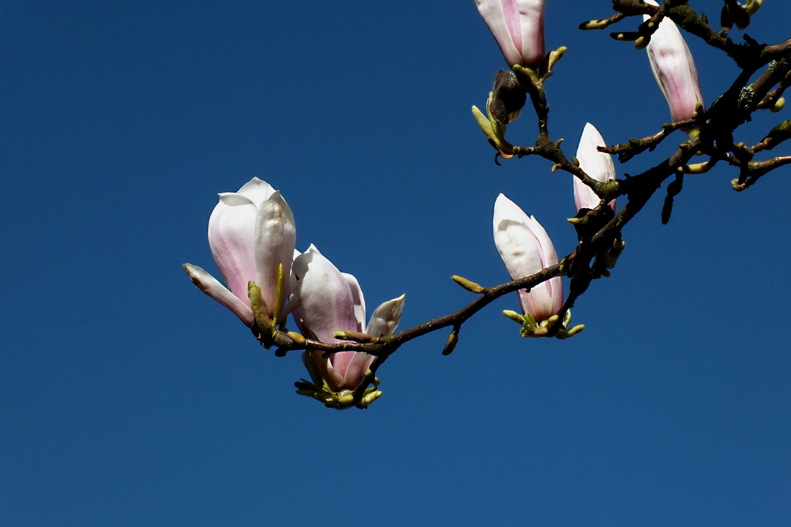 Blauer Himmel