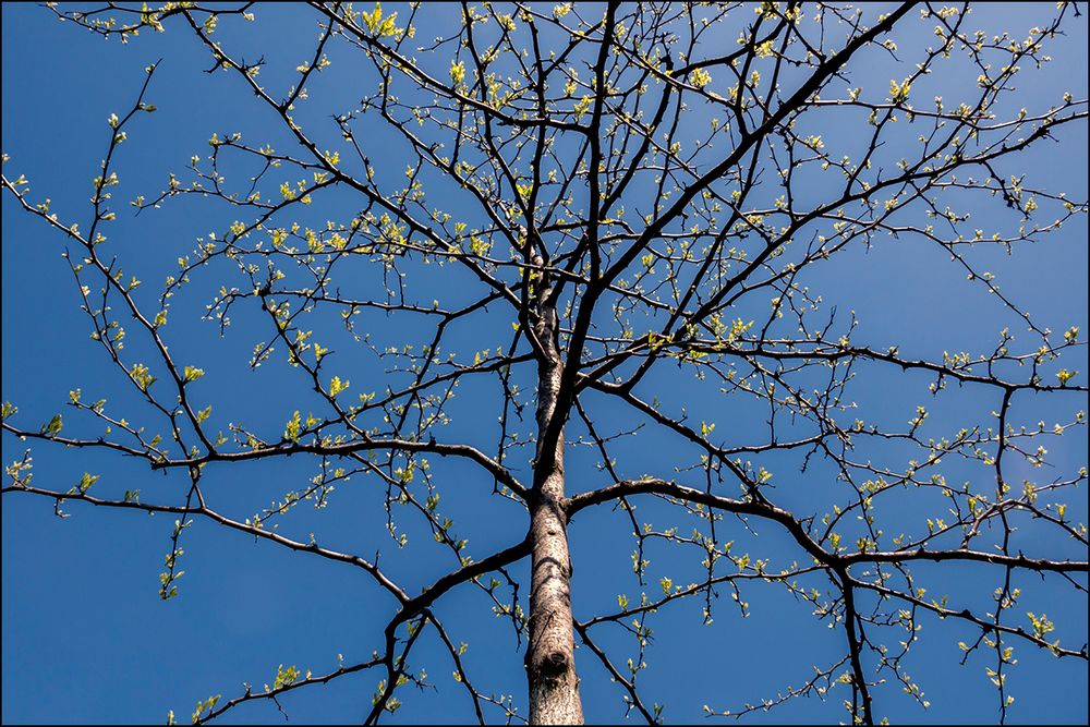 blauer Himmel