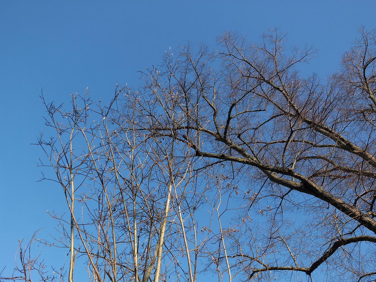 blauer Himmel