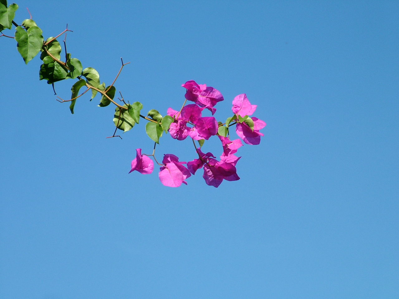 Blauer Himmel