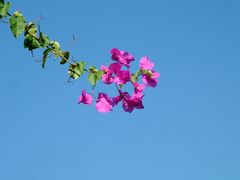 Blauer Himmel