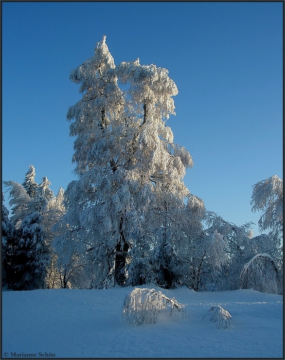 Blauer Himmel...