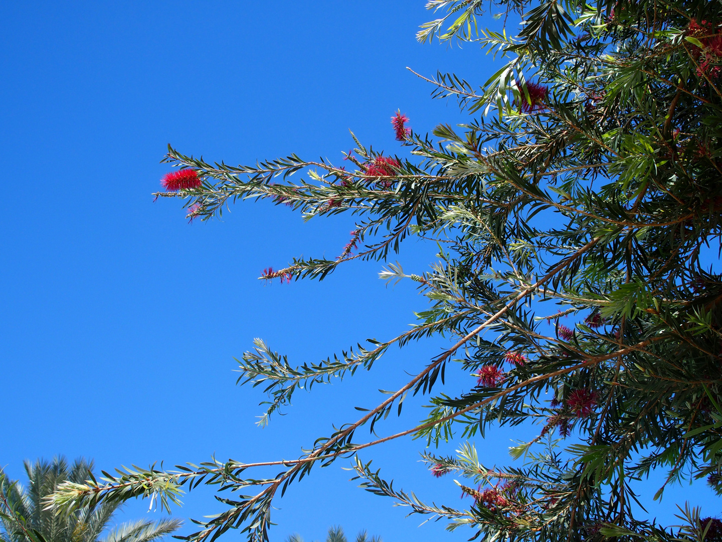 Blauer Himmel**