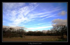 Blauer Himmel...