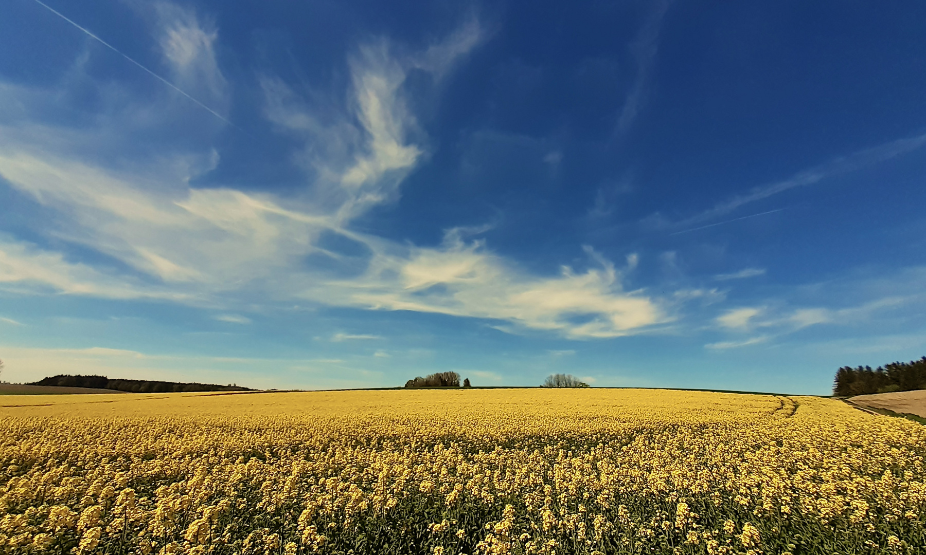 Blauer Himmel 