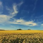 Blauer Himmel 