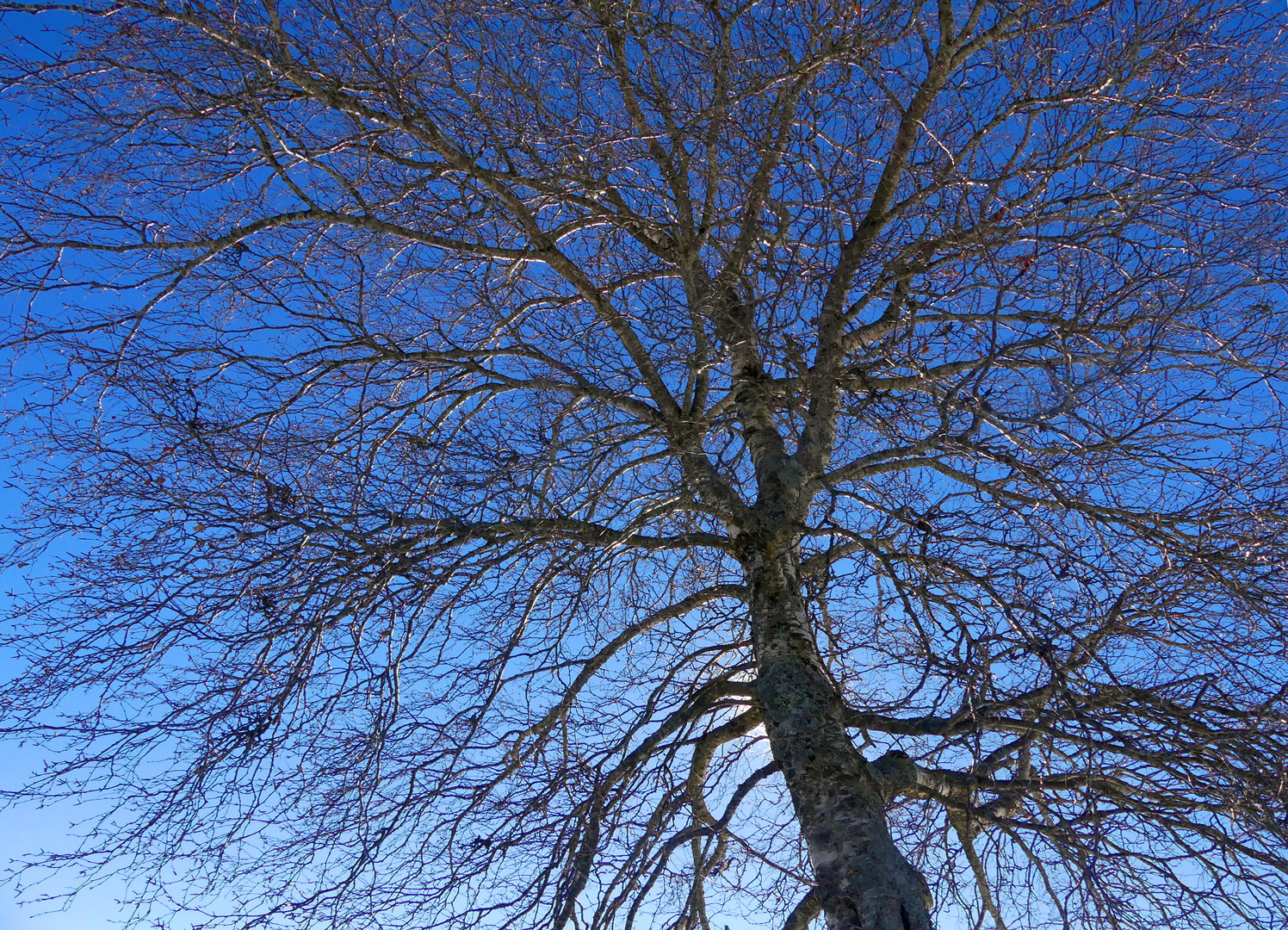 Blauer Himmel