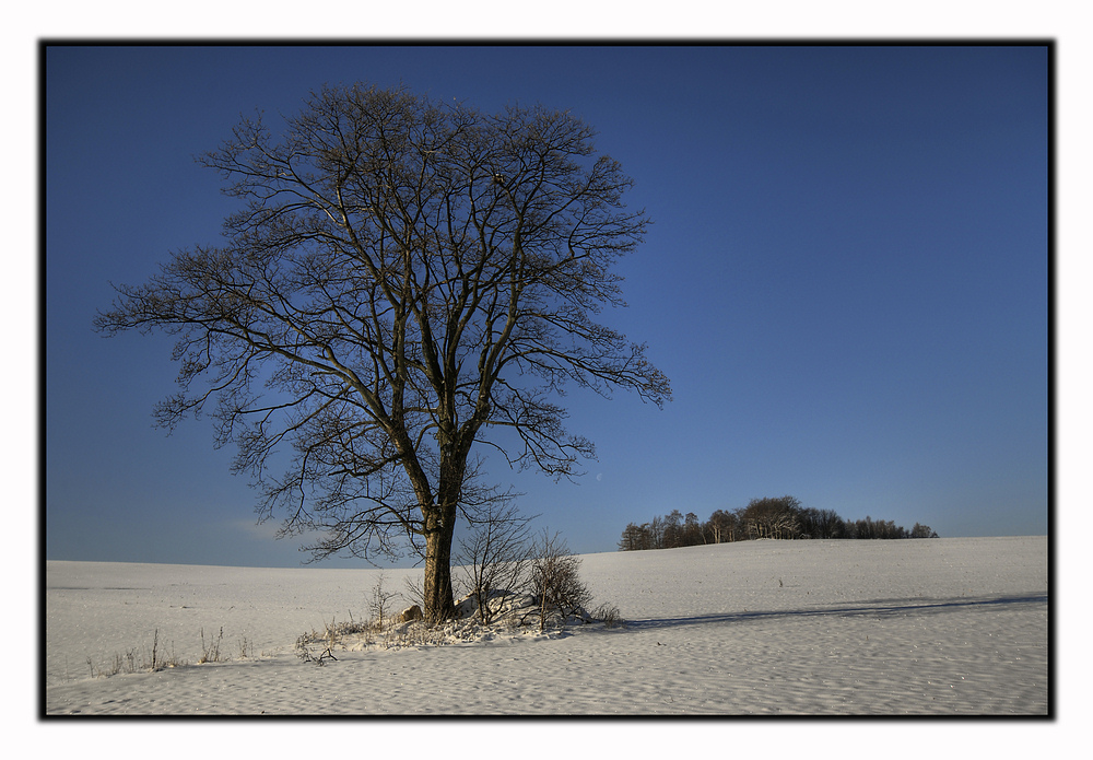 Blauer Himmel