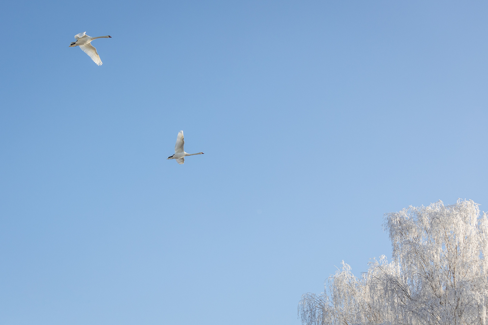 Blauer Himmel