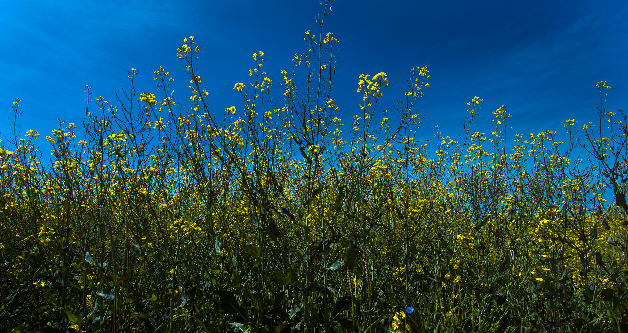  Blauer Himmel