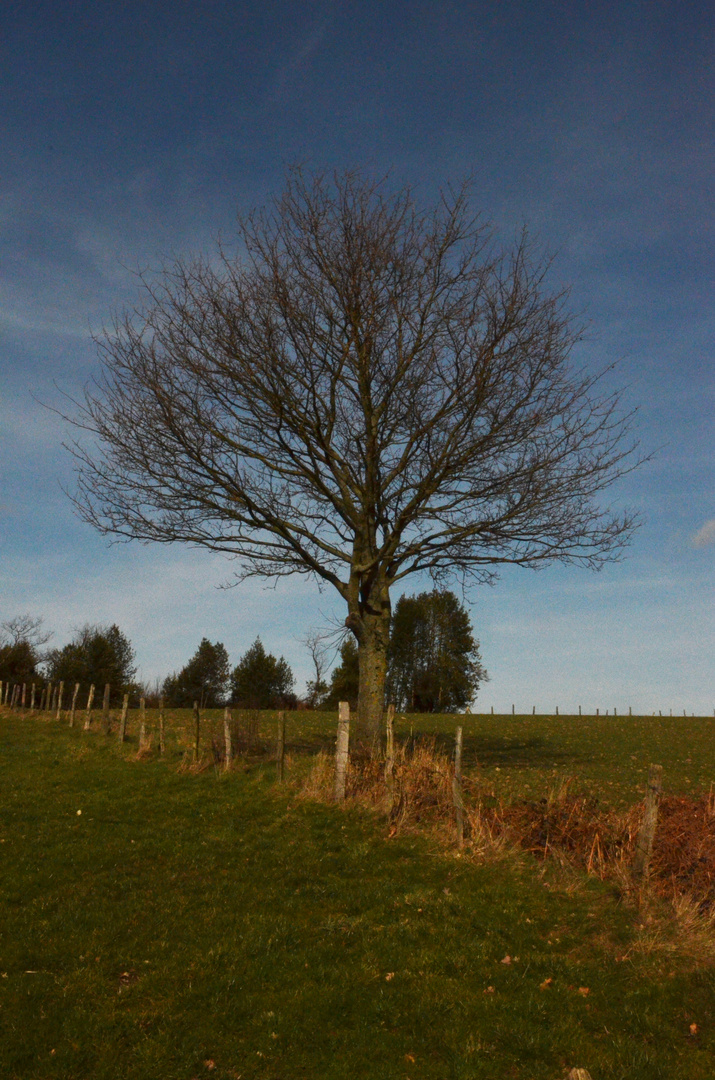 Blauer Himmel