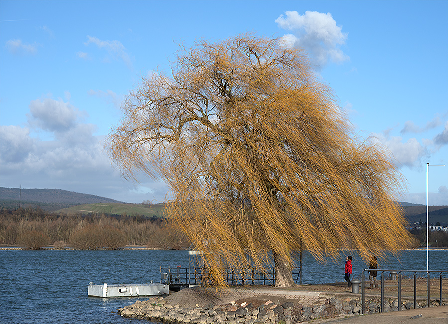 blauer Himmel, aber kalter Wind