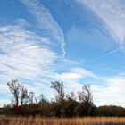 blauer Himmel