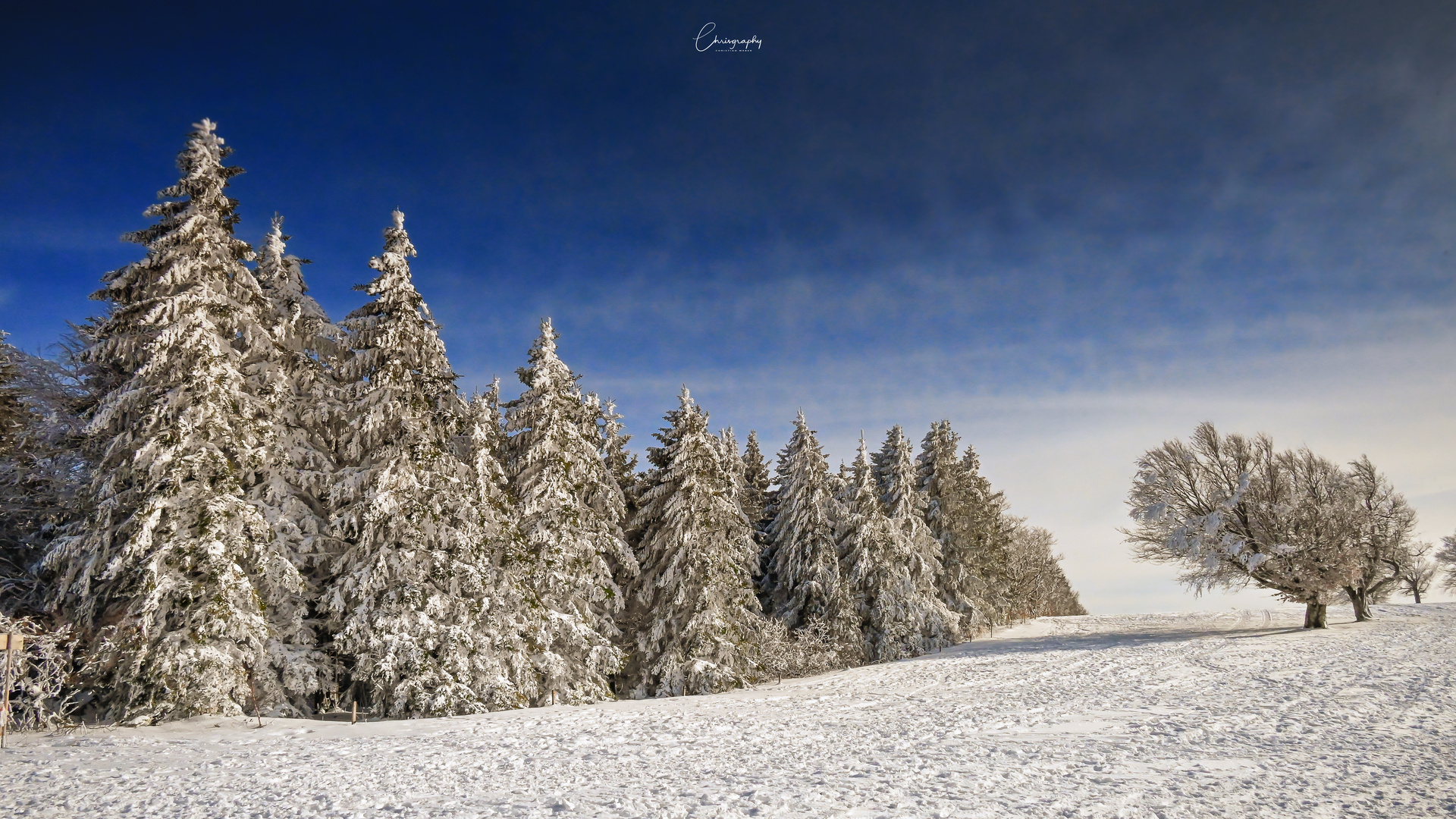 Blauer Himmel auf dem Schauinsland