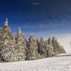 Blauer Himmel auf dem Schauinsland