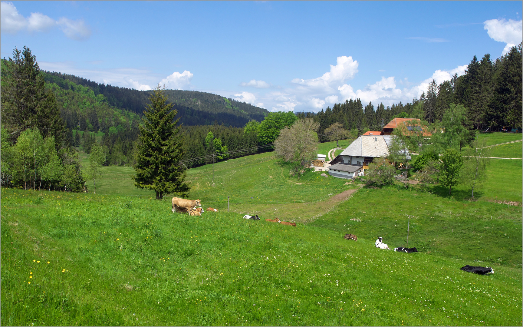 Blauer Himmel