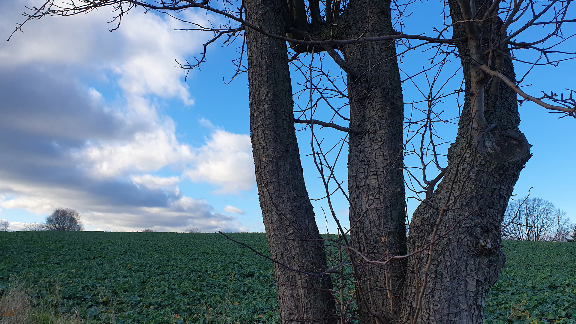 Blauer Himmel**