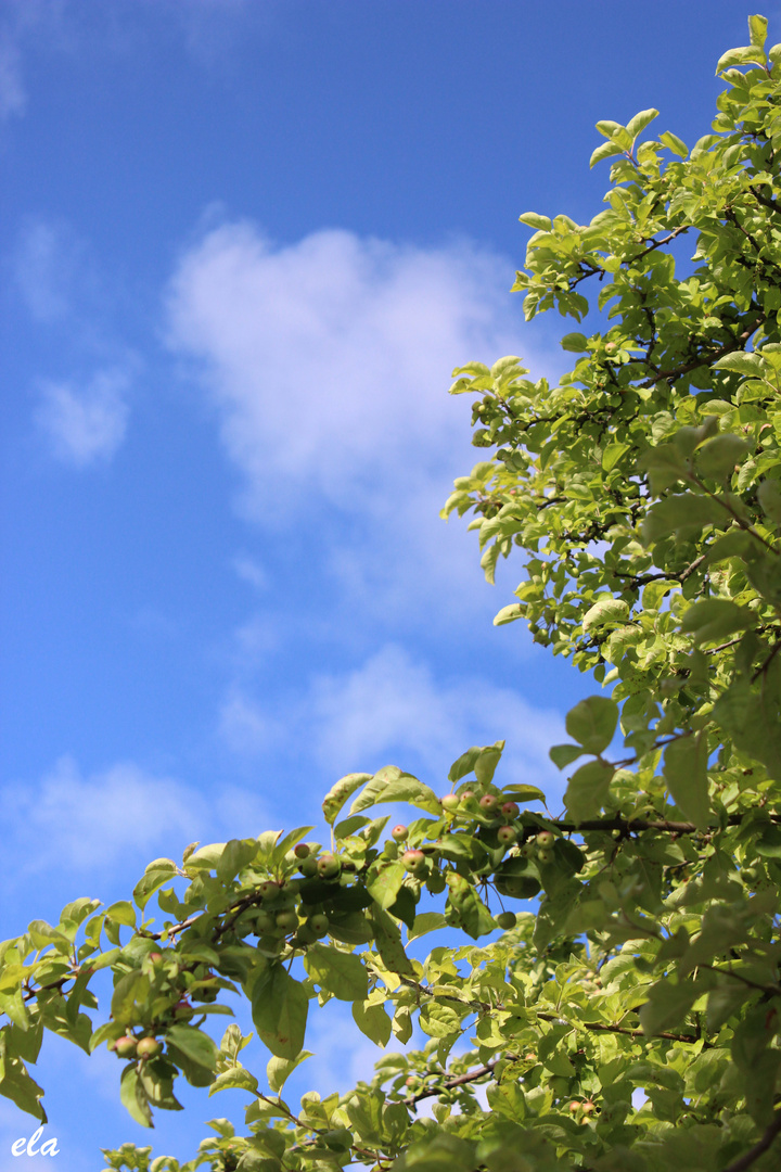 Blauer Himmel