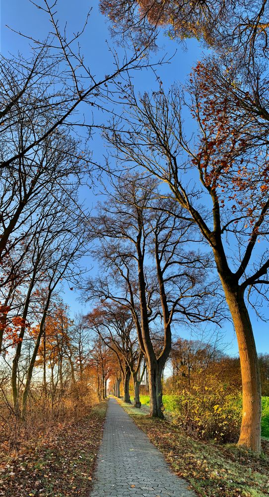 Blauer Himmel …