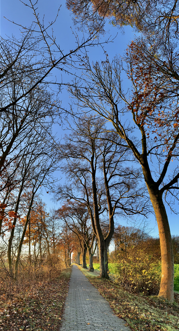 Blauer Himmel …