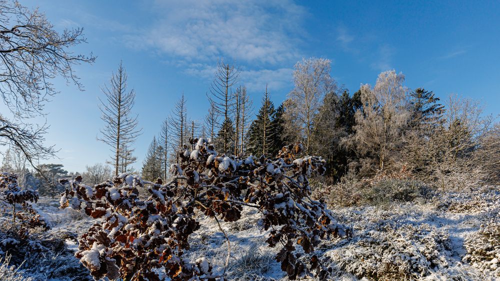 blauer himmel