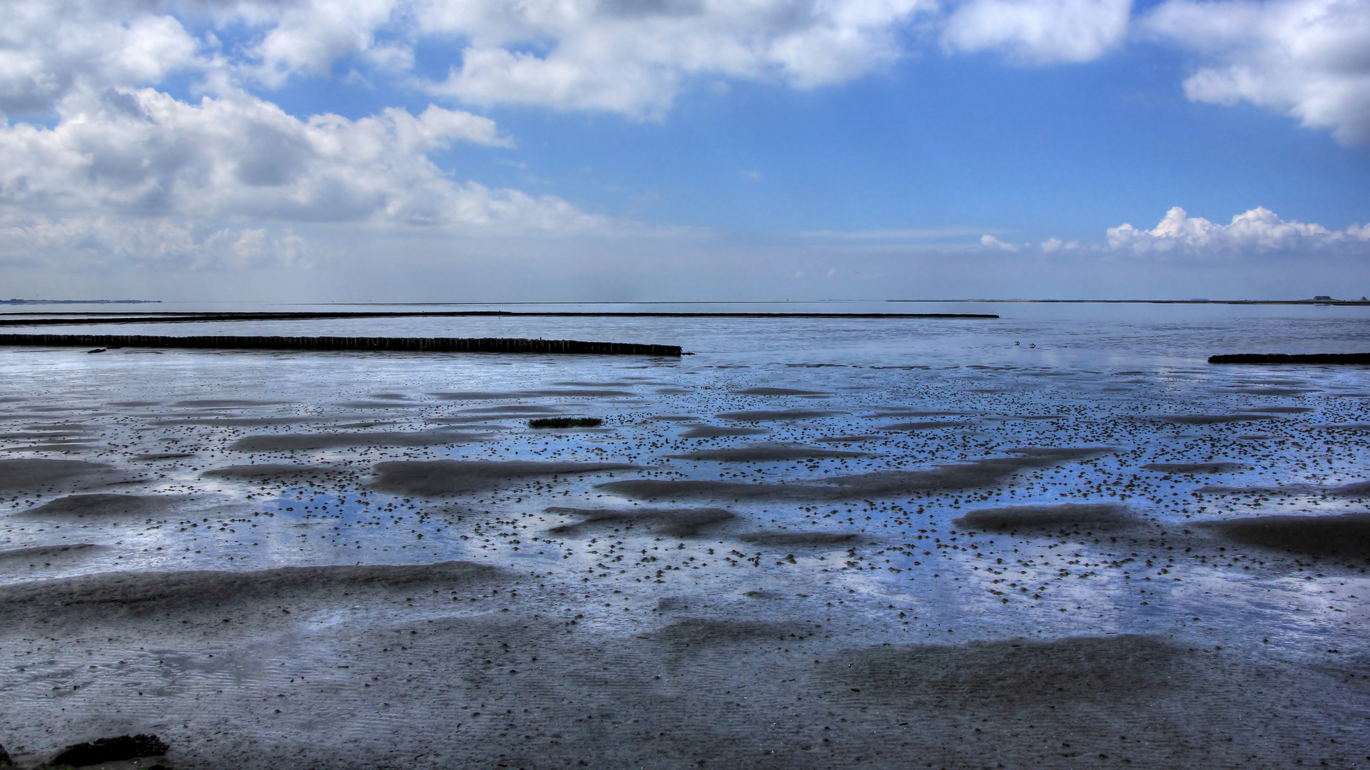 Blauer Himmel, die Nordsee, der Wattwurm und ich!