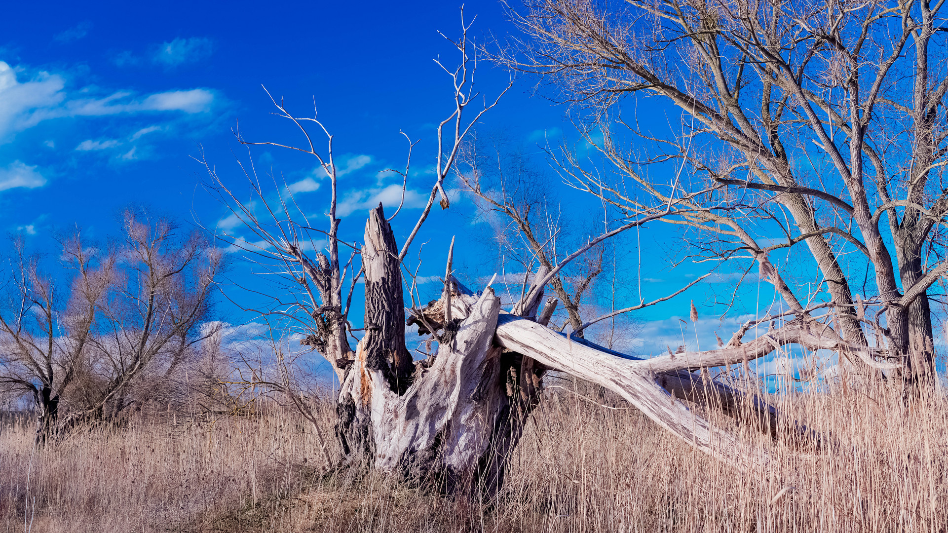 Blauer Himmel