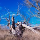 Blauer Himmel