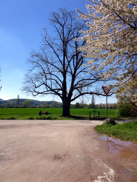 Blauer Himmel es wird besser das Wetter