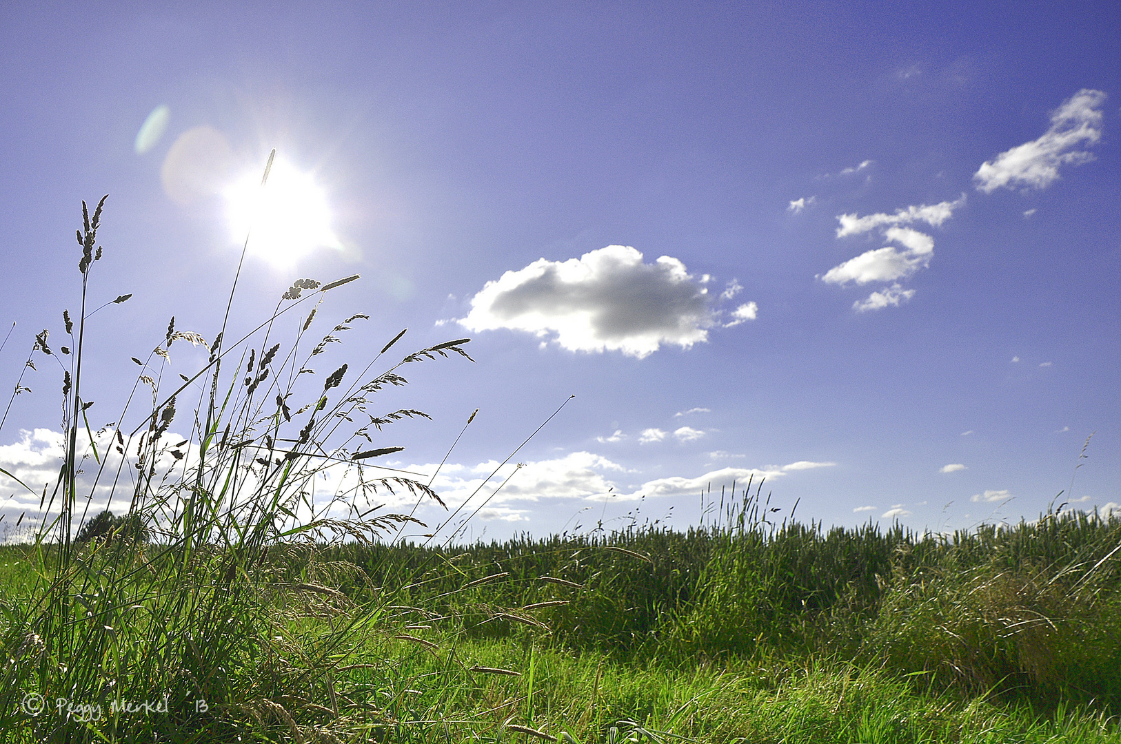 Blauer Himmel, Felder, Sommerwiese - herrlich so ein Sommertag im Gras!