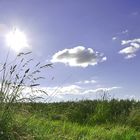 Blauer Himmel, Felder, Sommerwiese - herrlich so ein Sommertag im Gras!