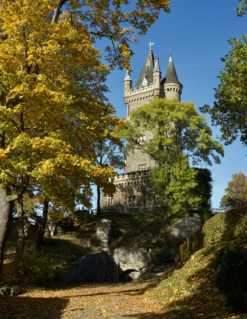 Blauer Himmel, Goldener Herbst