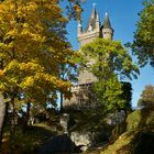 Blauer Himmel, Goldener Herbst