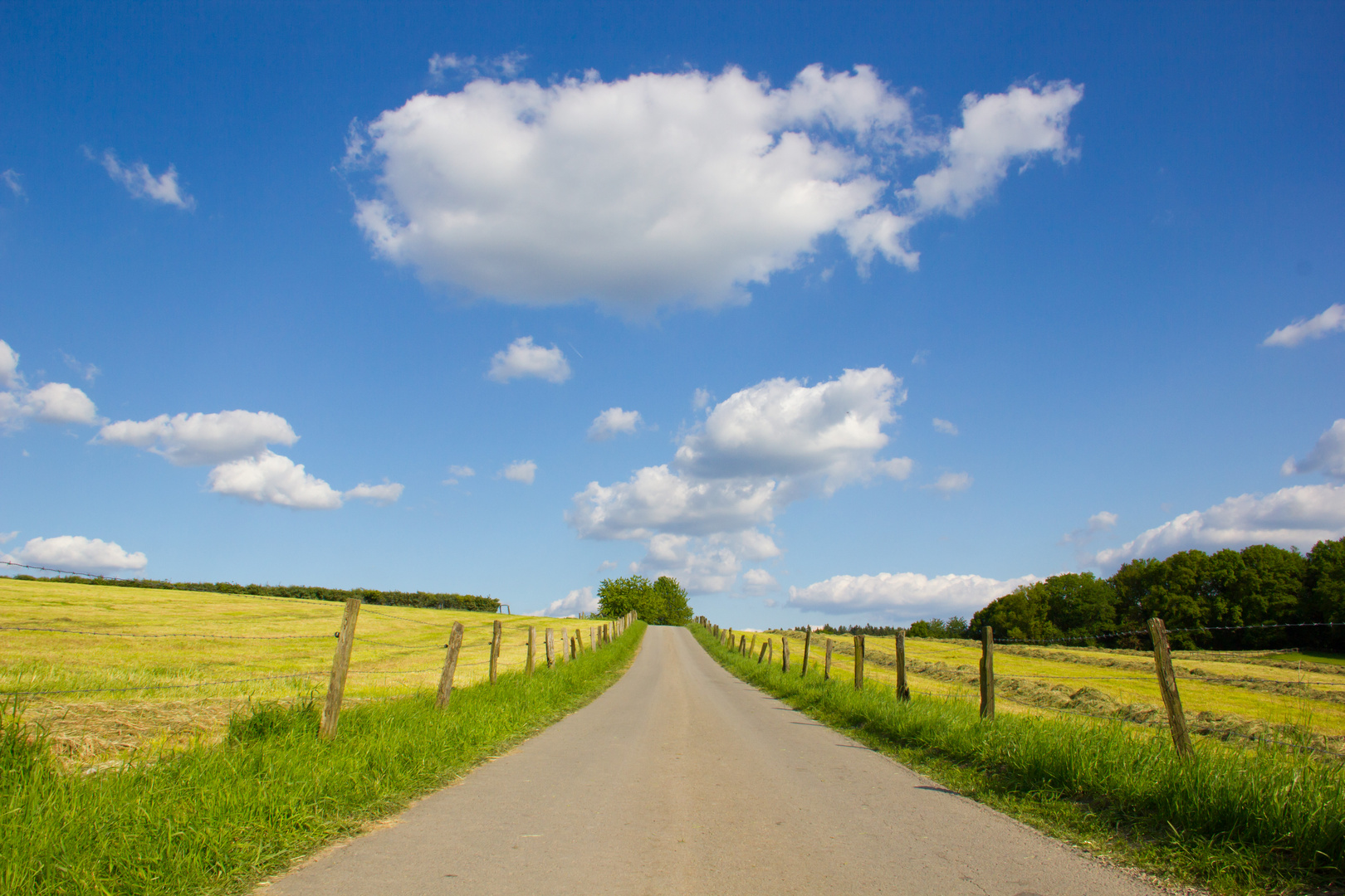 Blauer Himmel, grüne Wiesen