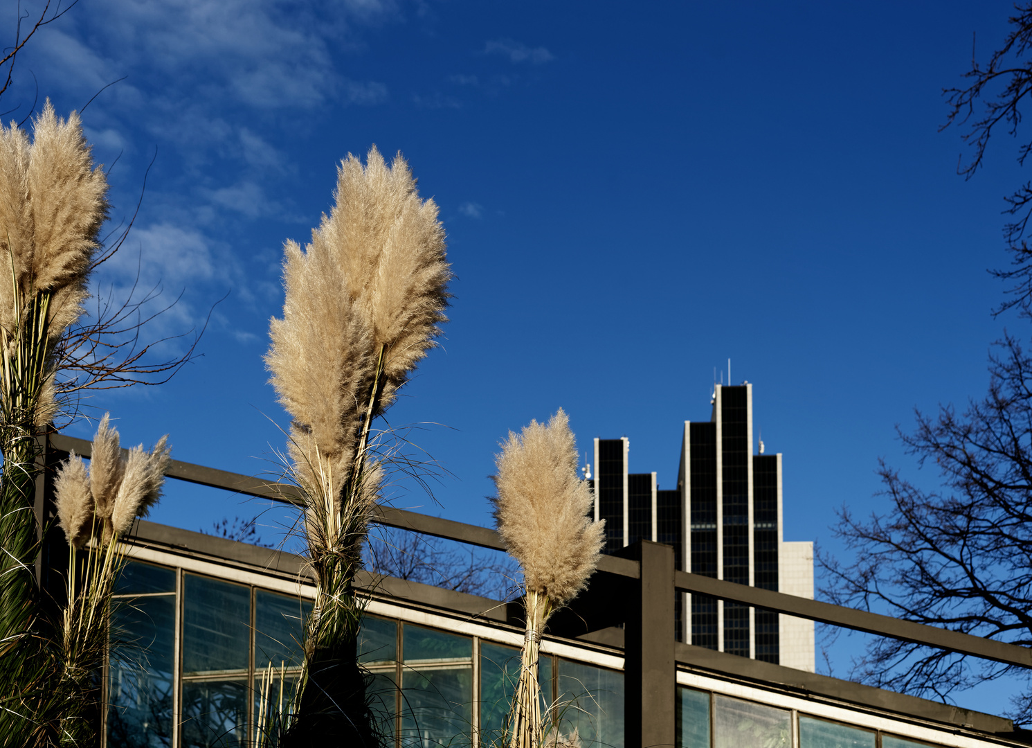 Blauer Himmel- guten Start in die neue Woche