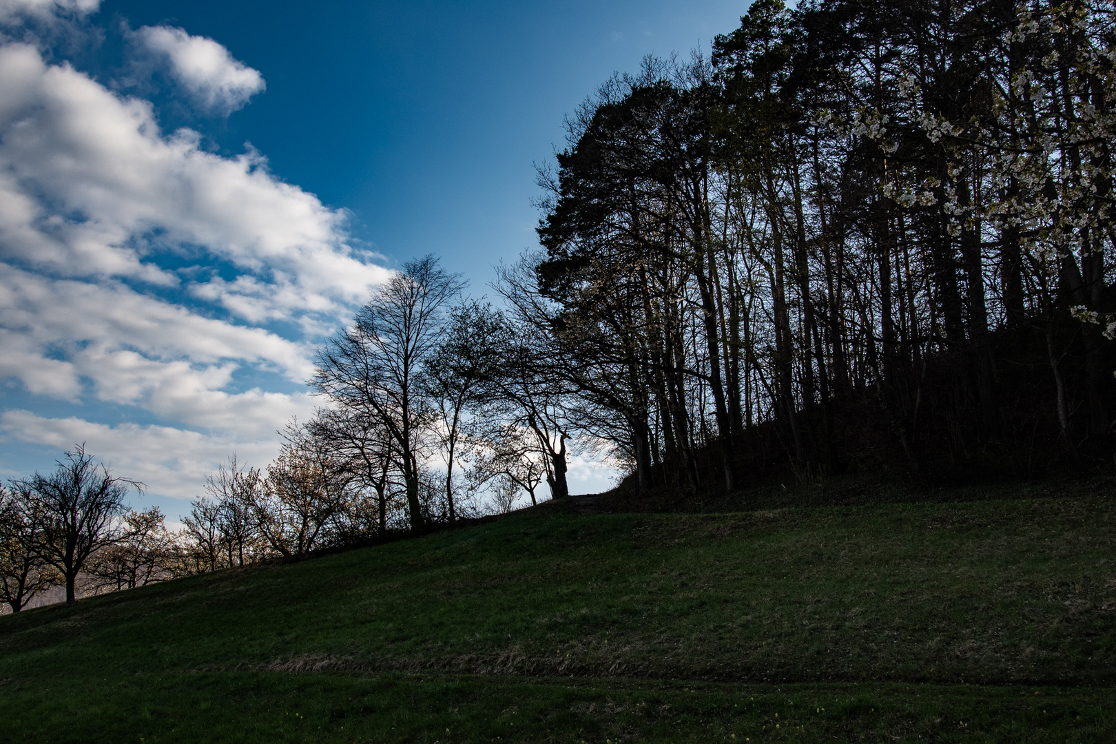 Blauer Himmel hinterm Spitzenberg