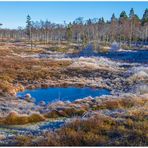 Blauer Himmel im Auge des Hochmoors...