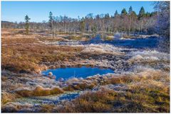 Blauer Himmel im Auge des Hochmoors...