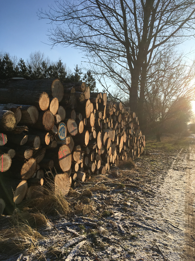 Blauer Himmel im Februar