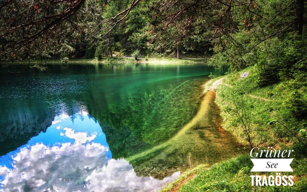 Blauer Himmel im Grünen See