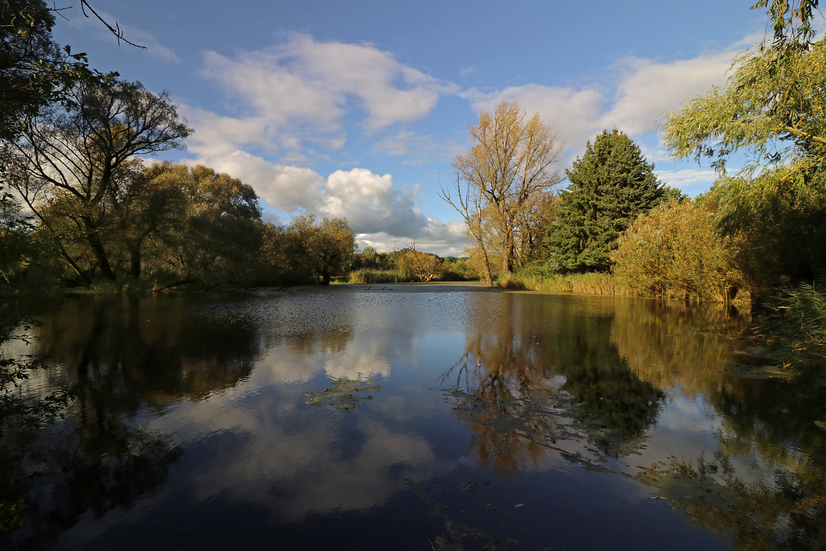 Blauer Himmel im Herbst