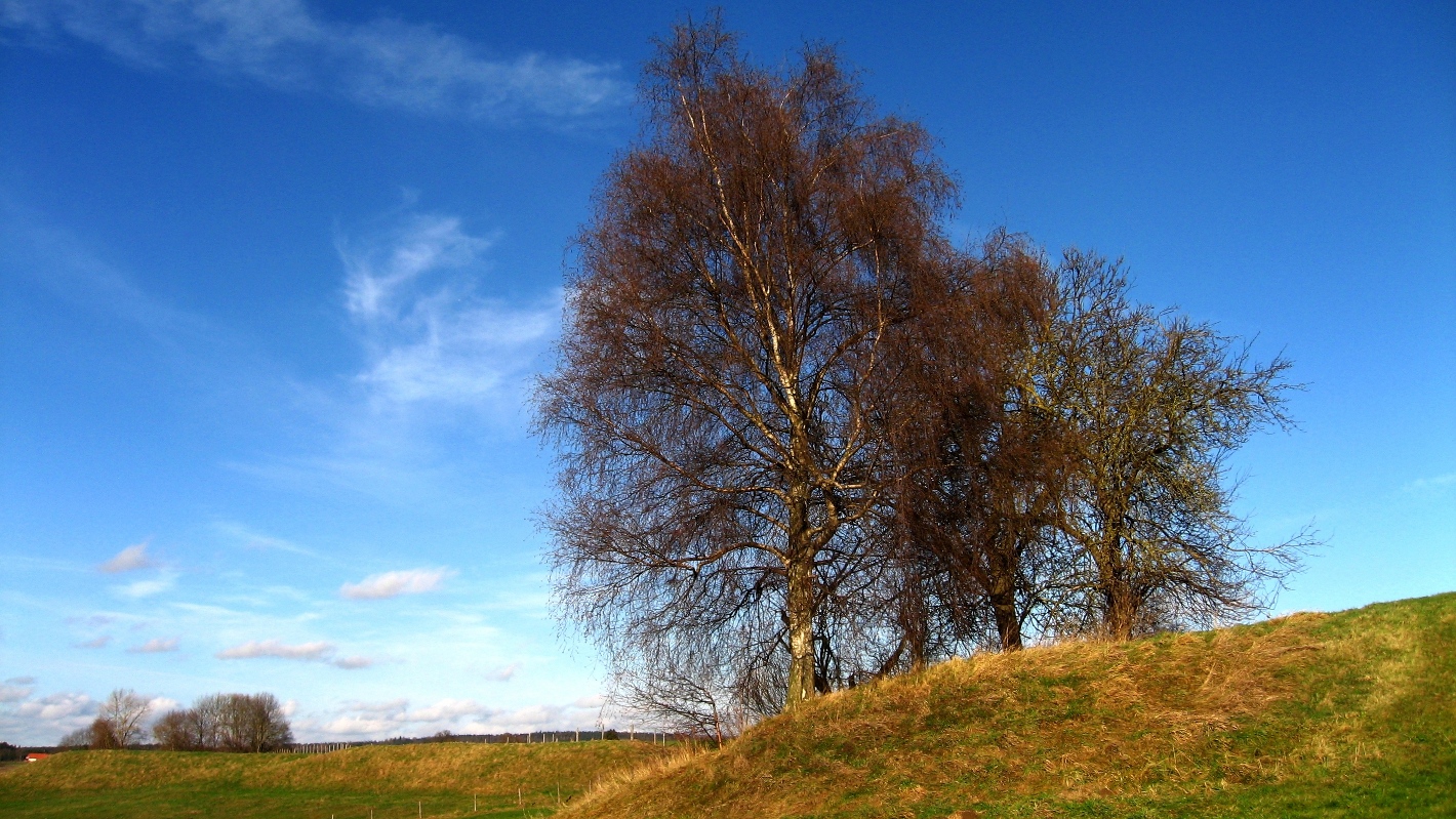 Blauer Himmel im Herbst