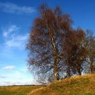 Blauer Himmel im Herbst