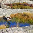 blauer Himmel in karger Landschaft