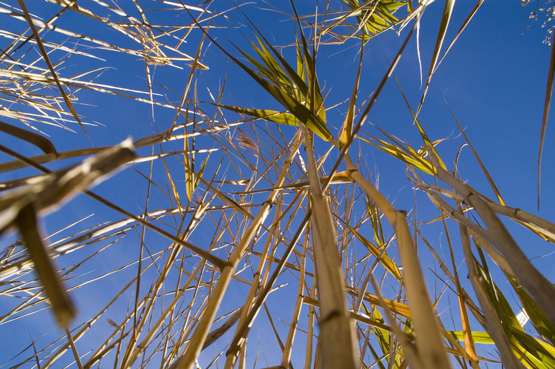 Blauer Himmel in sicht