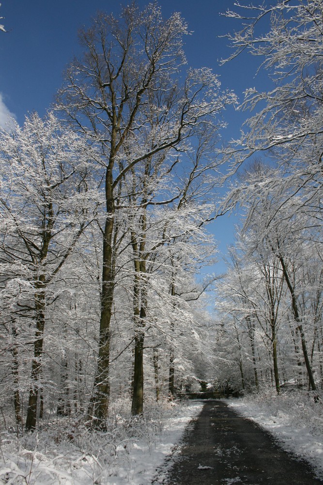 Blauer Himmel - klare Luft - herrlich!!!!