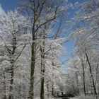 Blauer Himmel - klare Luft - herrlich!!!!